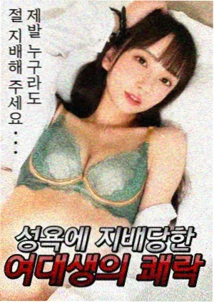 按主题分区的书店专题书架影像